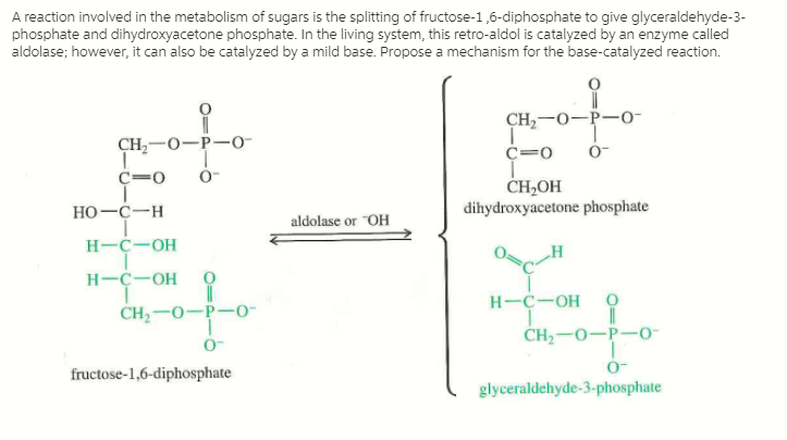 A reaction involved in the metabolism of sugars is the splitting of fructose-1,6-diphosphate to give glyceraldehyde-3-
phosphate and dihydroxyacetone phosphate. In the living system, this retro-aldol is catalyzed by an enzyme called
aldolase; however, it can also be catalyzed by a mild base. Propose a mechanism for the base-catalyzed reaction.
CH,-0-P-0-
CH,-0-P-0-
C=0
C=0
CH,OH
dihydroxyacetone phosphate
HO-C-H
aldolase or "OH
H-C-OH
H-C-OH
H-C-OH
CH,-0-P-0-
CH2-0-P-0-
fructose-1,6-diphosphate
glyceraldehyde-3-phosphate
