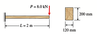 P= 8.0 kN
200 mm
-L= 2 m –
120 mm
