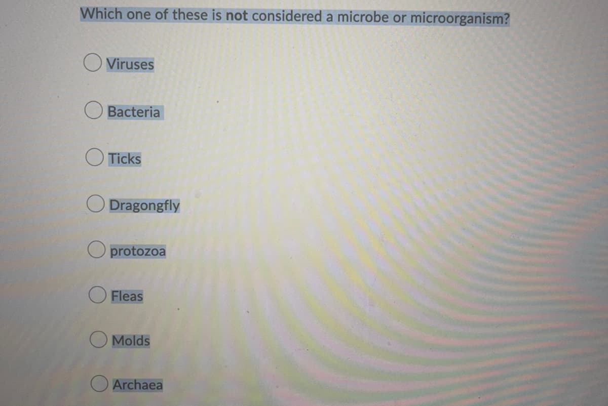 Which one of these is not considered a microbe or microorganism?
Viruses
Bacteria
Ticks
Dragongfly
protozoa
Fleas
Molds
Archaea