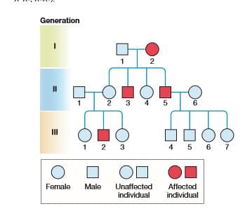 Generation
1
2
4
6.
II
1 2 3
4 5 6 7
Female
Male
Unaffected
individual
Affected
individual
2.
