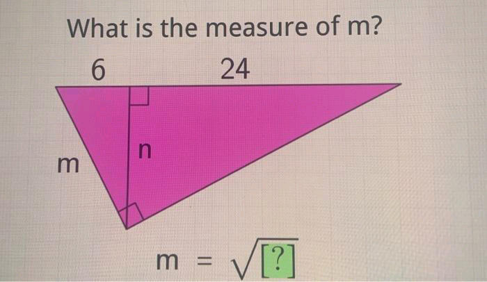 What is the measure of m?
6.
24
in
= V[?
%D
