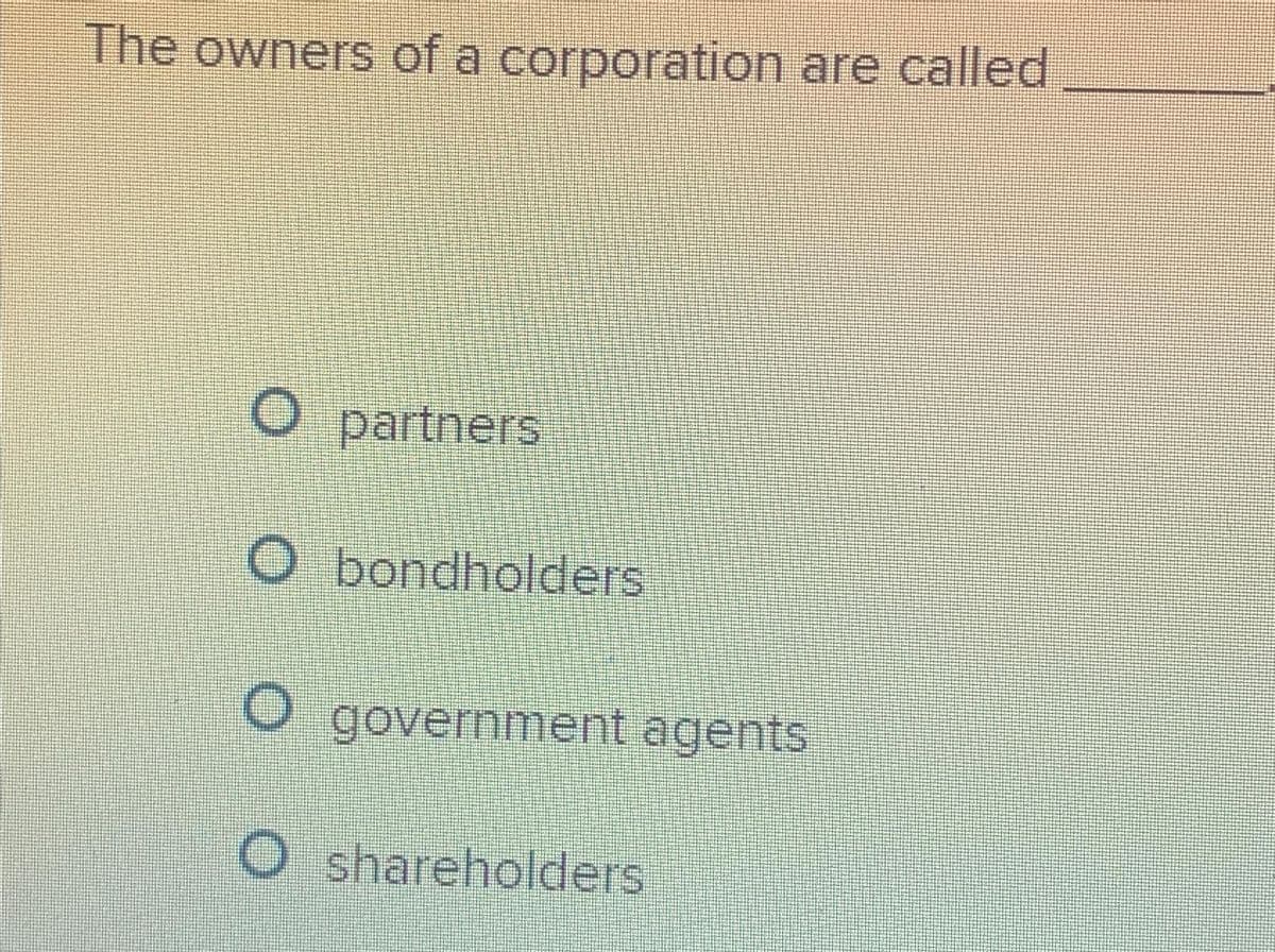 The owners of a corporation are called
O partners
O bondholders
government agents
O shareholders