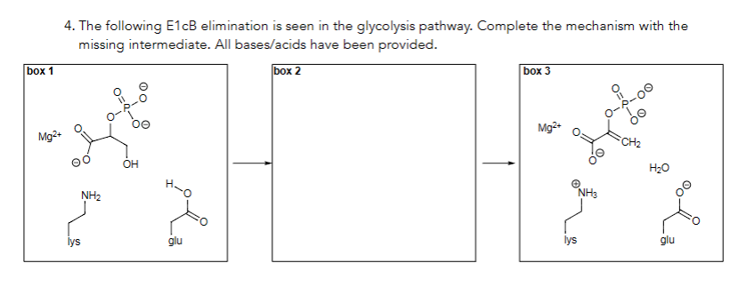box 1
Mg2+
4. The following E1cB elimination is seen in the glycolysis pathway. Complete the mechanism with the
missing intermediate. All bases/acids have been provided.
box 2
NH₂
lys
OH
OC
Hap
glu
box 3
Mg2+
NH3
lys
CH₂
H₂O
glu