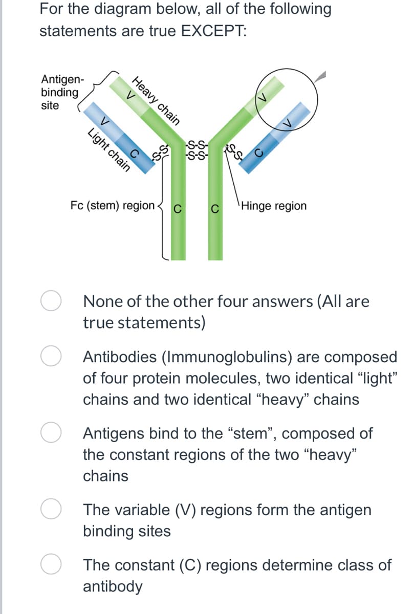 For the diagram below, all of the following
statements are true EXCEPT:
Antigen-
binding
site
V C
Heavy chain
V
Light chain
S.S.
Fc (stem) region c C Hinge region
None of the other four answers (All are
true statements)
Antibodies (Immunoglobulins) are composed
of four protein molecules, two identical "light"
chains and two identical "heavy" chains
Antigens bind to the "stem", composed of
the constant regions of the two "heavy"
chains
The variable (V) regions form the antigen
binding sites
The constant (C) regions determine class of
antibody