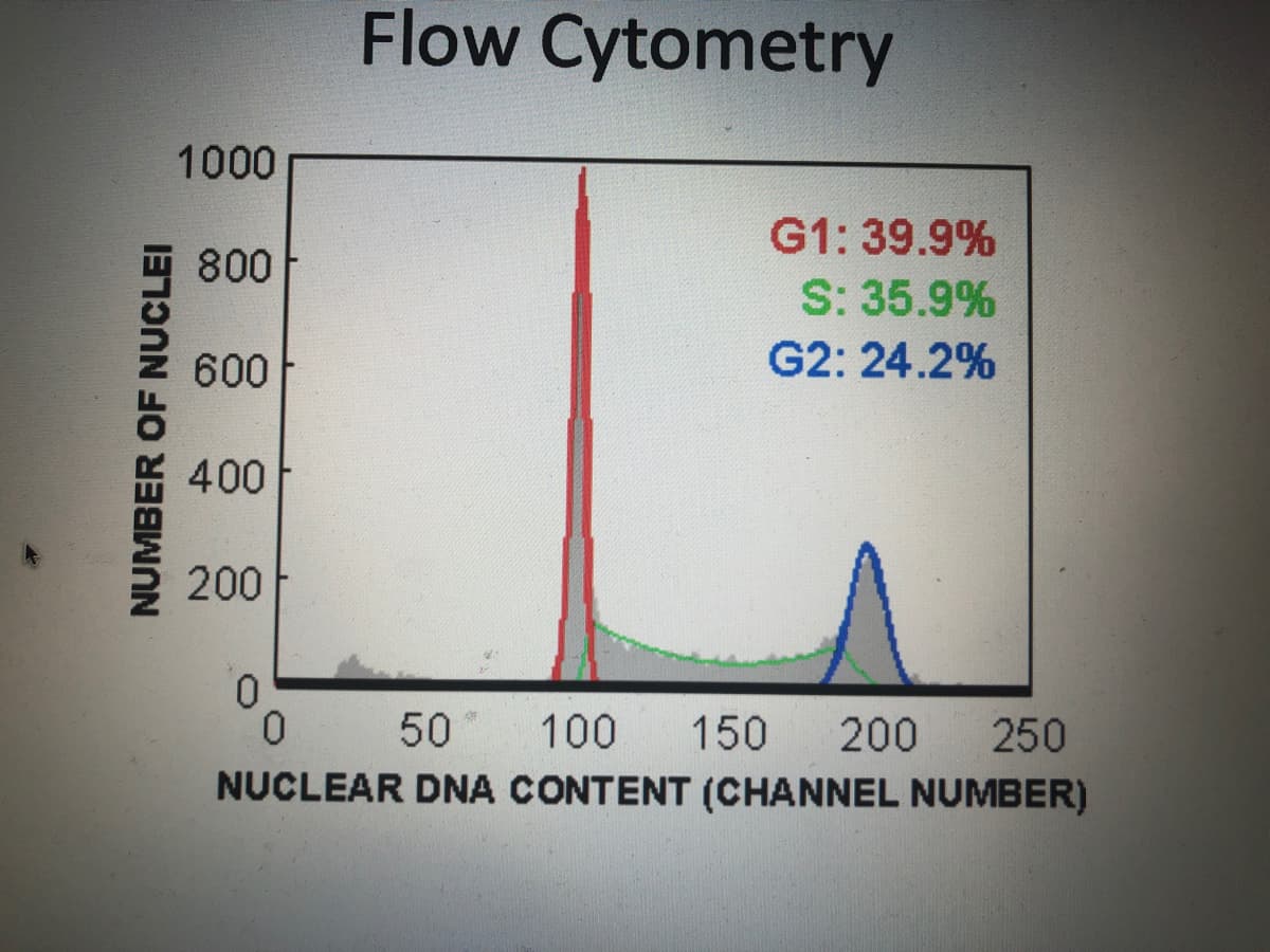 Flow Cytometry
1000
G1: 39.9%
S: 35.9%
800
600
G2: 24.2%
400
200
0.
50
100
150
200
250
NUCLEAR DNA CONTENT (CHANNEL NUMBER)
NUMBER OF NUCLEI
