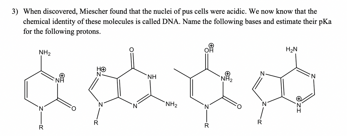 3) When discovered, Miescher found that the nuclei of pus cells were acidic. We now know that the
chemical identity of these molecules is called DNA. Name the following bases and estimate their pKa
for the following protons.
OF
H2N
NH2
N-
N-
NH
NH2
"NH2
R
R
OZI
