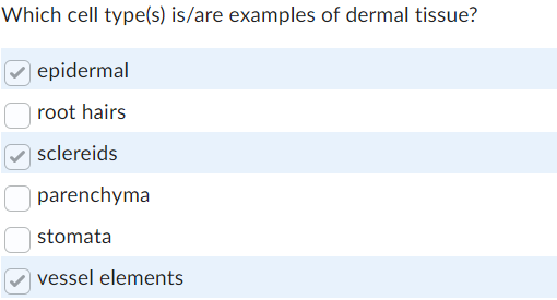 Which cell type(s) is/are examples of dermal tissue?
epidermal
root hairs
sclereids
parenchyma
stomata
vessel elements