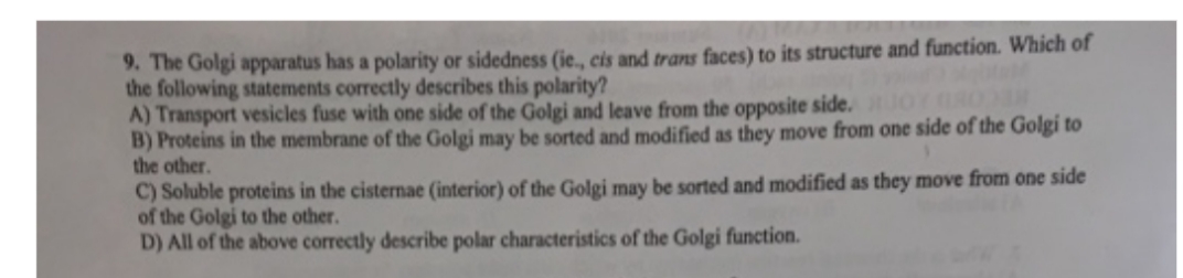 9. The Golgi apparatus has a polarity or sidedness (ie., cis and trans faces) to its structure and function. Which of
the following statements correctly describes this polarity?
A) Transport vesicles fuse with one side of the Golgi and leave from the opposite side.
B) Proteins in the membrane of the Golgi may be sorted and modified as they move from one side of the Golgi to
the other.
C) Soluble proteins in the cisternae (interior) of the Golgi may be sorted and modified as they move from one side
of the Golgi to the other.
D) All of the above correctly describe polar characteristics of the Golgi function.