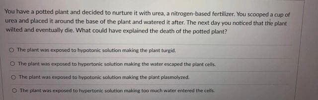 You have a potted plant and decided to nurture it with urea, a nitrogen-based fertilizer. You scooped a cup of
urea and placed it around the base of the plant and watered it after. The next day you noticed that the plant
wilted and eventually die. What could have explained the death of the potted plant?
O The plant was exposed to hypotonic solution making the plant turgid.
O The plant was exposed to hypertonic solution making the water escaped the plant cells.
O The plant was exposed to hypotonic solution making the plant plasmolyzed.
The plant was exposed to hypertonic solution making too much water entered the cells.