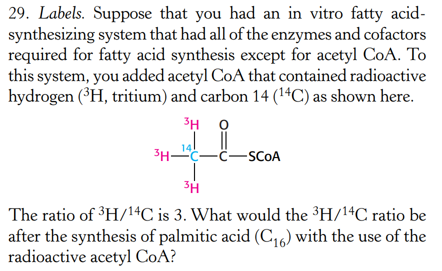 29. Labels. Suppose that you had an in vitro fatty acid-
synthesizing system that had all of the enzymes and cofactors
required for fatty acid synthesis except for acetyl CoA. To
this system, you added acetyl CoA that contained radioactive
hydrogen (³H, tritium) and carbon 14 (¹4C) as shown here.
3H O
14
3H-C-C SCOA
3H
The ratio of ³H/¹4C is 3. What would the ³H/14C ratio be
after the synthesis of palmitic acid (C₁6) with the use of the
radioactive acetyl CoA?