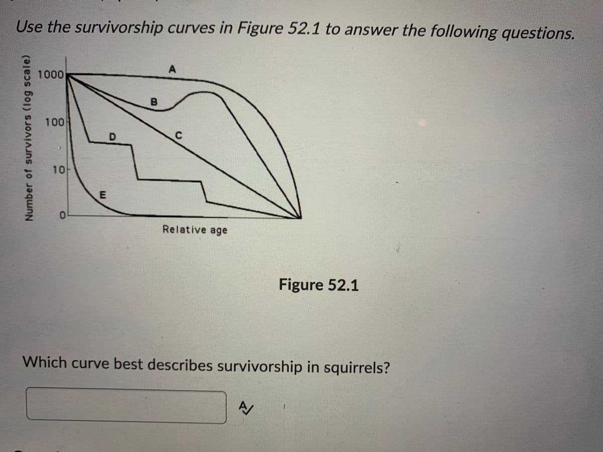 Use the survivorship curves in Figure 52.1 to answer the following questions.
1000
100
1아
0.
Relative age
Figure 52.1
Which curve best describes survivorship in squirrels?
Number of survivors (log scale)
E.
