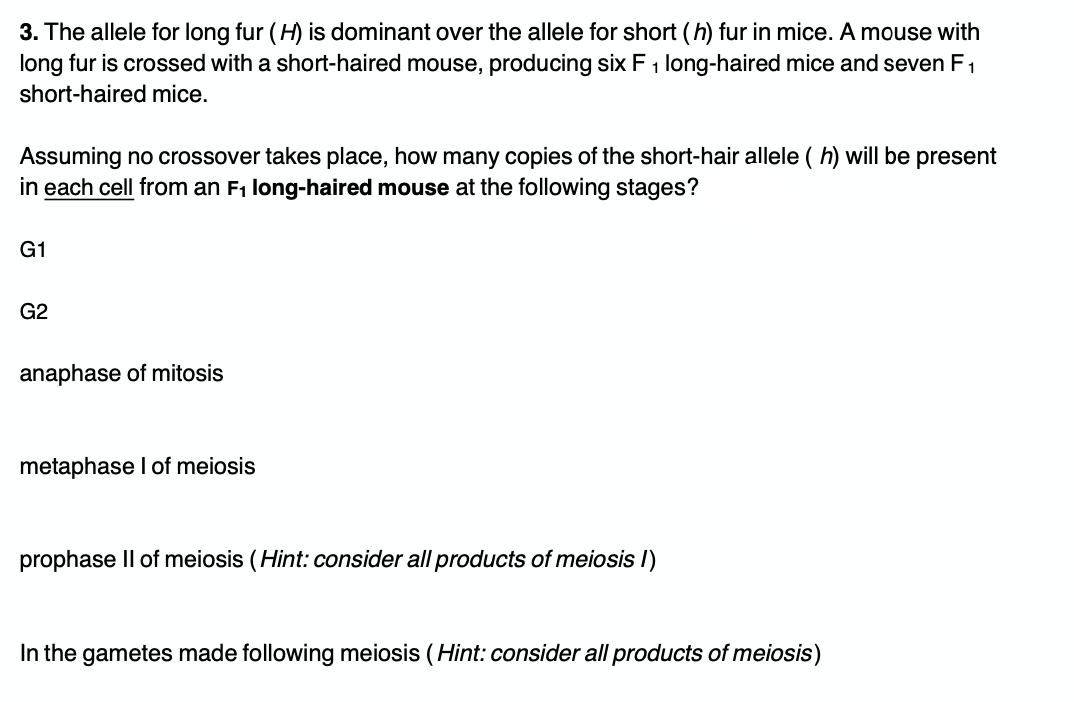 3. The allele for long fur (H) is dominant over the allele for short (h) fur in mice. A mouse with
long fur is crossed with a short-haired mouse, producing six F , long-haired mice and seven F1
short-haired mice.
Assuming no crossover takes place, how many copies of the short-hair allele ( h) will be present
in each cell from an F, long-haired mouse at the following stages?
G1
G2
anaphase of mitosis
metaphase I of meiosis
prophase Il of meiosis (Hint: consider all products of meiosis I)
In the gametes made following meiosis (Hint: consider all products of meiosis)
