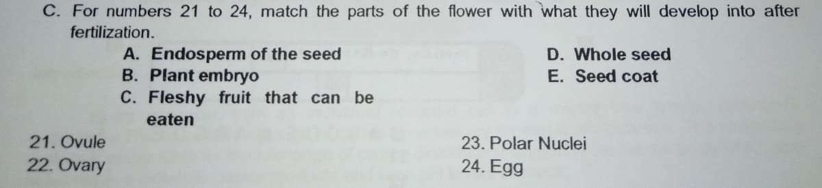C. For numbers 21 to 24, match the parts of the flower with what they will develop into after
fertilization.
A. Endosperm of the seed
B. Plant embryo
C. Fleshy fruit that can be
D. Whole seed
E. Seed coat
eaten
21. Ovule
23. Polar Nuclei
22. Ovary
24. Egg
