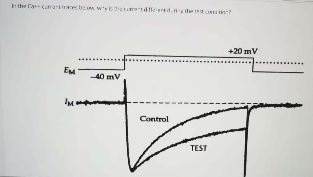 In the Ca++ current traces below, why is the current different during the test condition?
+20 mV
Ем
-40 mV
IM
Control
TEST
