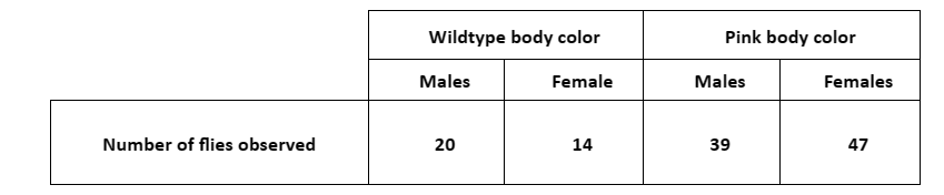 Number of flies observed
Wildtype body color
Males
20
20
Pink body color
Female
Males
Females
14
39
47
