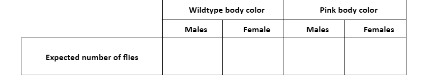 Expected number of flies
Wildtype body color
Males
Pink body color
Females
Female
Males