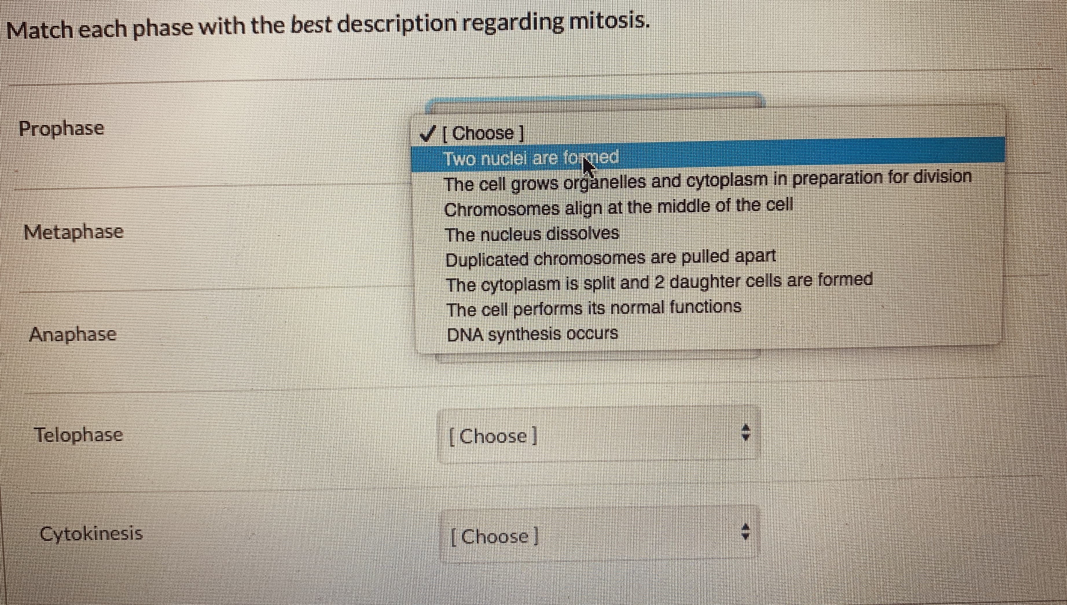 Match each phase with the best description regarding mitosis.
