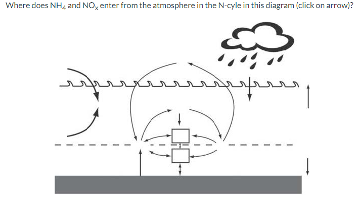 Where does NH4 and NOx enter from the atmosphere in the N-cyle in this diagram (click on arrow)?
ܢܢܢܢܢܢܢܝܝܩܢܝ
ܔܔܛܔܔ
ܝܢܝ