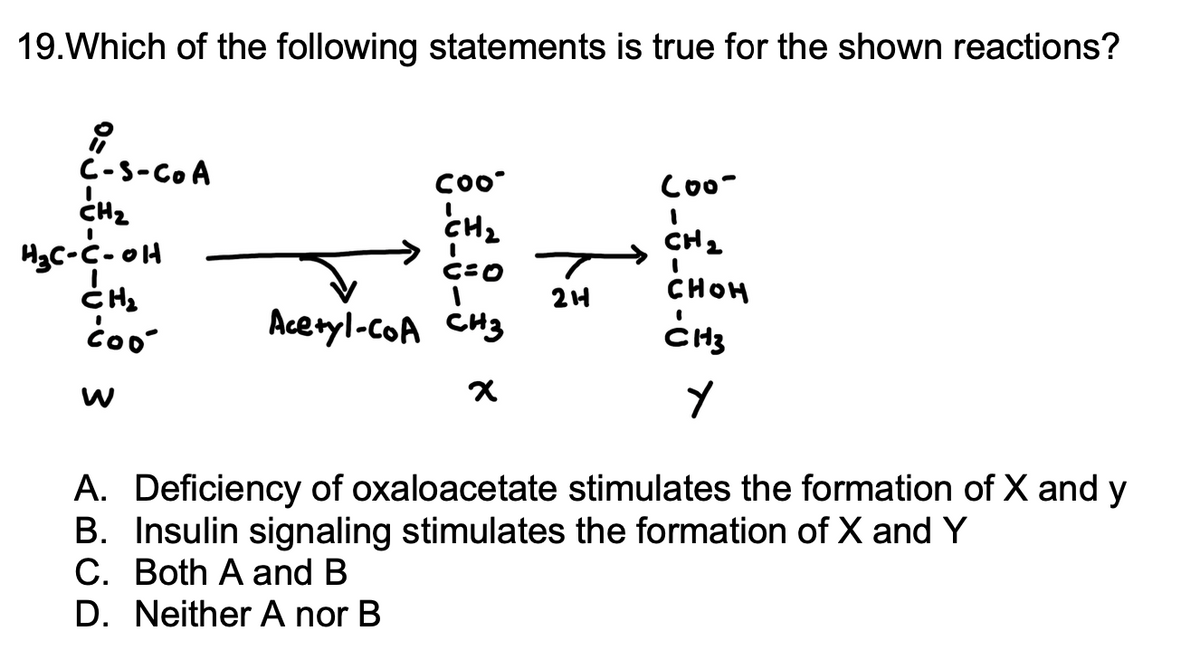 19. Which of the following statements is true for the shown reactions?
i
C-S-COA
CH₂
H₂C-C-OH
CH₂
coo
W
Coo
CH₂
C=0
I
Acetyl-CoA CH3
x
214
Coo-
1
CH ₂
I
CHOH
CH3
Y
A. Deficiency of oxaloacetate stimulates the formation of X and y
B. Insulin signaling stimulates the formation of X and Y
C. Both A and B
D. Neither A nor B