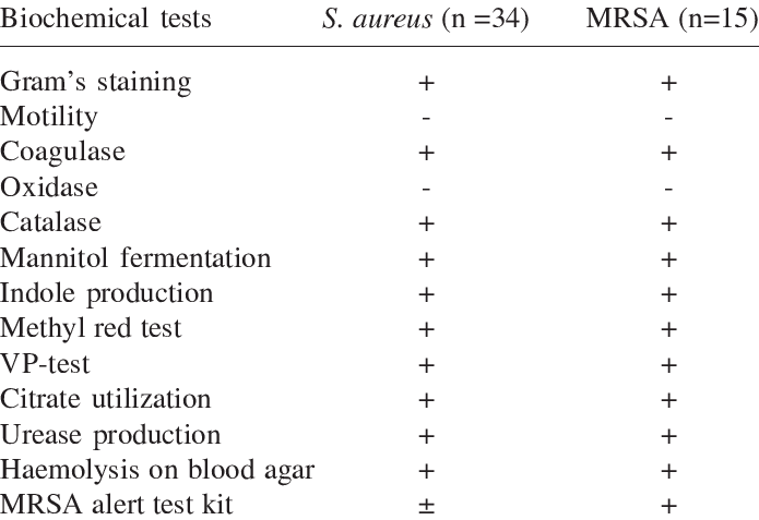 Biochemical tests
S. aureus (n =34)
MRSA (n=15)
Gram's staining
Motility
Coagulase
+
Oxidase
-
-
Catalase
Mannitol fermentațion
Indole production
Methyl red test
VP-test
Citrate utilization
Urease production
Haemolysis on blood agar
MRSA alert test kit
+
+ + + + + + + + +
+
+ 1 + + + + + + + + +I
