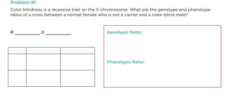 Problem #1
Color blindness is a recessive trait on the X chromosome. What are the genotype and phenotype
ratios of a cross between a normal female who is not a carrier and a color-blind male?
P
Genotypic Ratio:
Phenotypic Ratio: