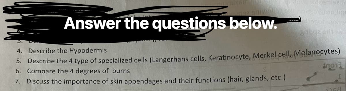 wollen adr
Answer the questions below.
126 923
and lon
liegen sum
grbge adres
4. Describe the Hypodermis
5. Describe the 4 type of specialized cells (Langerhans cells, Keratinocyte, Merkel cell, Melanocytes)
6. Compare the 4 degrees of burns
2001
7. Discuss the importance of skin appendages and their functions (hair, glands, etc.)
sasa