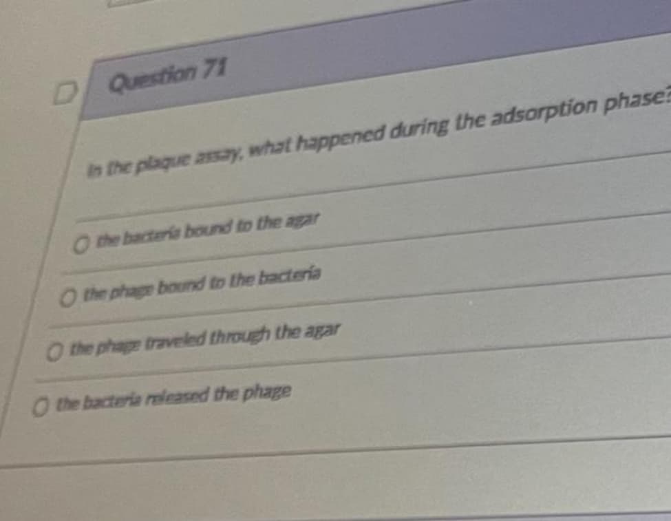 DQuestion71
in the plaque assay, what happened during the adsorption phase?
O the bacteria bound to the agar
O the phage bound to the bacteria
O the phage traveled through the agar
O the bacteria released the phage
