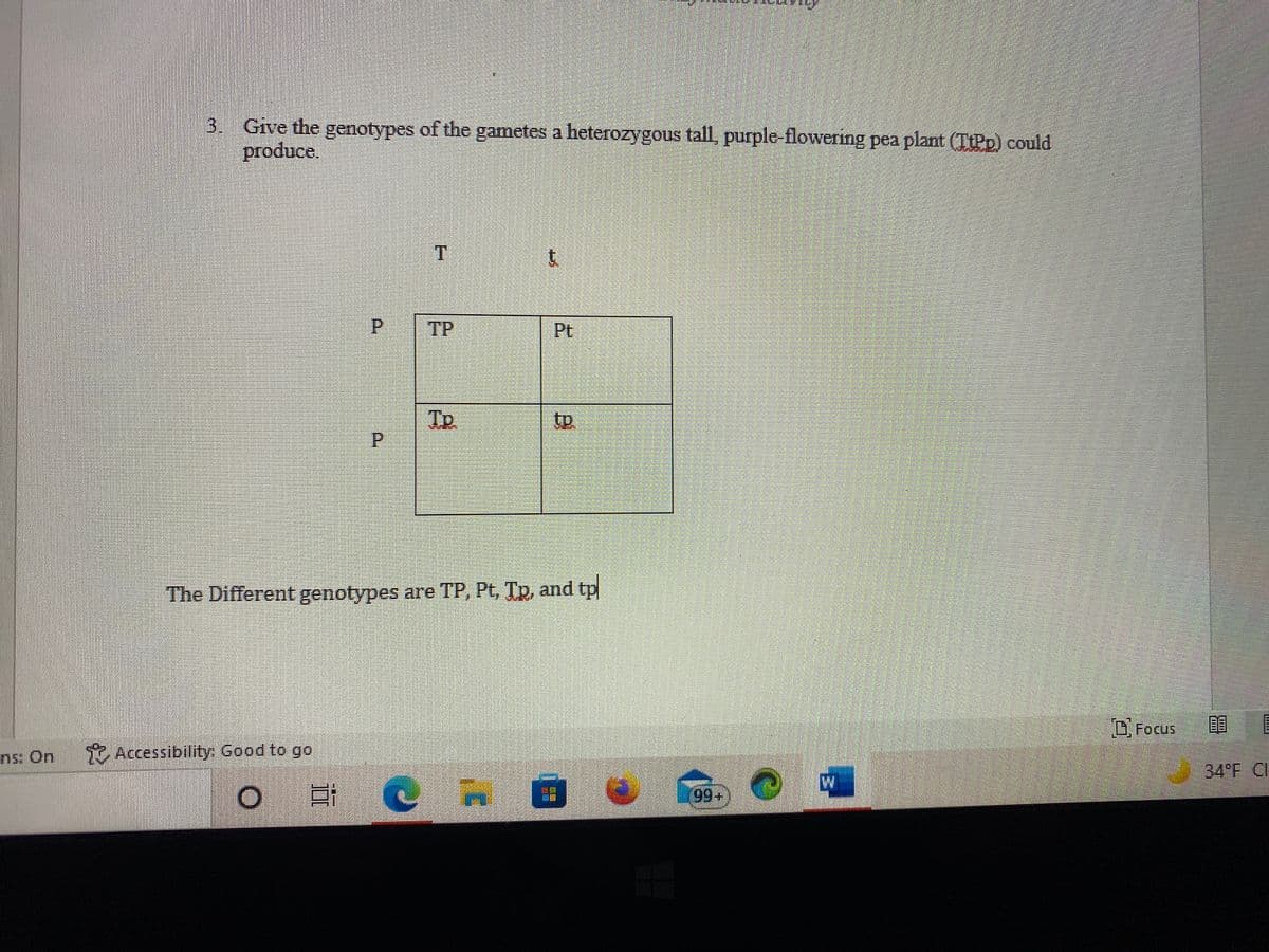 Give the genotypes of the gametes a heterozygous tall, purple-flowering pea plant (TIPD) could
produce.
TP
Pt
TR
P.
tp.
The Different genotypes are TP, Pt, Tp, and tp
D, Focus
目
ns: On Accessibility: Good to go
34°F CI
3.
