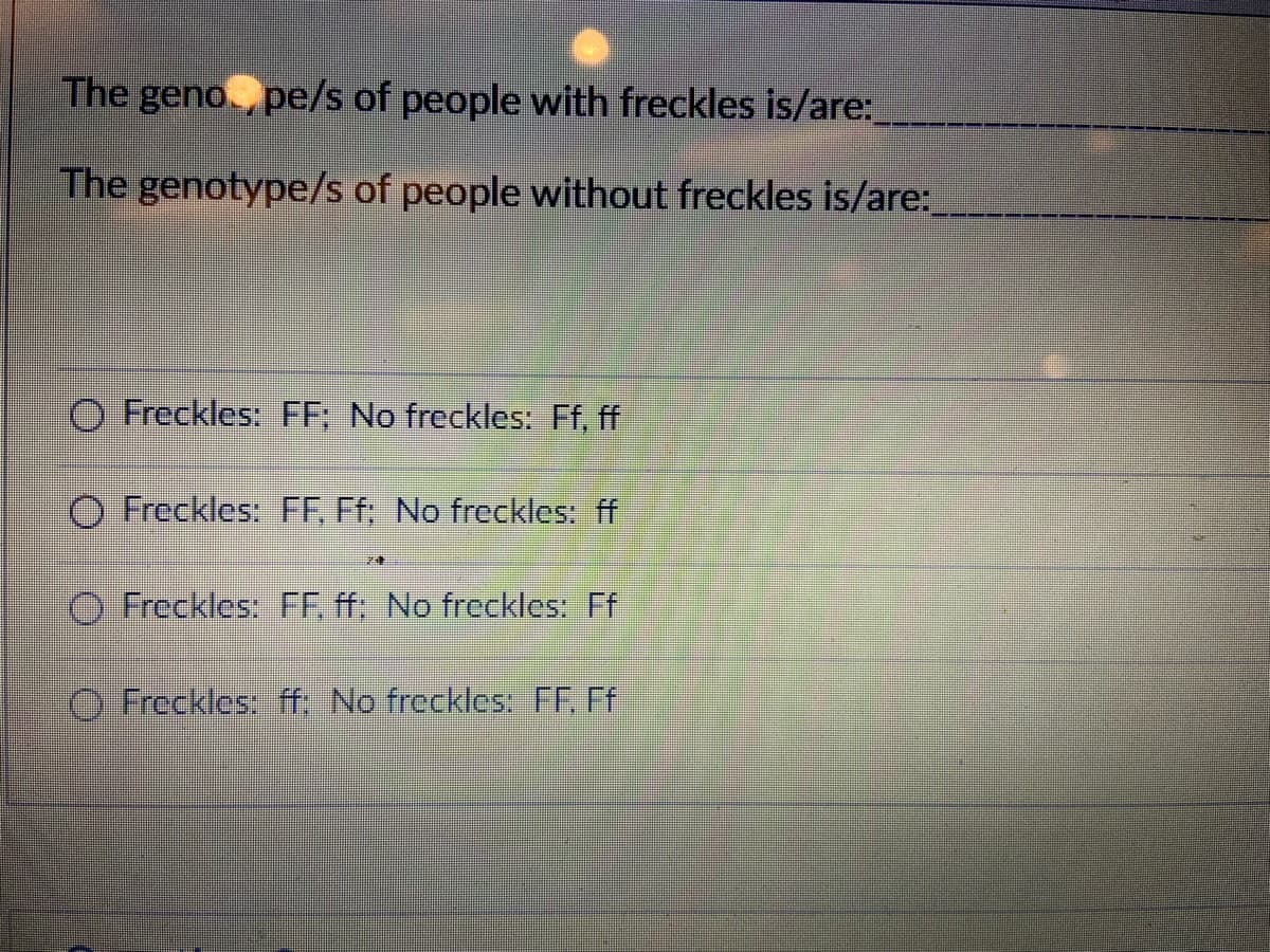 The geno. pe/s of people with freckles is/are:
The genotype/s of people without freckles is/are:_
O Freckles: FF; No freckles: Ff, ff
O Freckles: FF. Ff; No freckles: ff
O Freckles: FF ff: No freckles: Ff
O Freckles, f No freckles: FF, Ff
