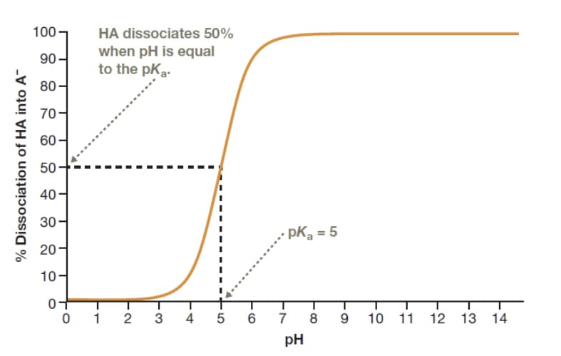 100-
HA dissociates 50%
when pH is equal
to the pKa-
90
80-
70-
60
50
40-
30
pKa = 5
20-
10-
0 1
2
3
4
7
8
9.
10
11
12 13 14
pH
CO
LO
% Dissociation of HA into A-
