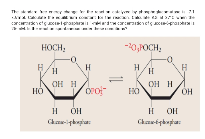 The standard free energy change for the reaction catalyzed by phosphoglucomutase is -7.1
kJ/mol. Calculate the equilibrium constant for the reaction. Calculate AG at 37°C when the
concentration of glucose-1-phosphate is 1-mM and the concentration of glucose-6-phosphate is
25-mM. Is the reaction spontaneous under these conditions?
HOCH,
-20;POCH,
H
H
H
H
H
H
ОН Н
НО
ОН Н
H
НО
ОН
H
ОН
H.
ОН
Glucose-l-phosphate
Glucose-6-phosphate
