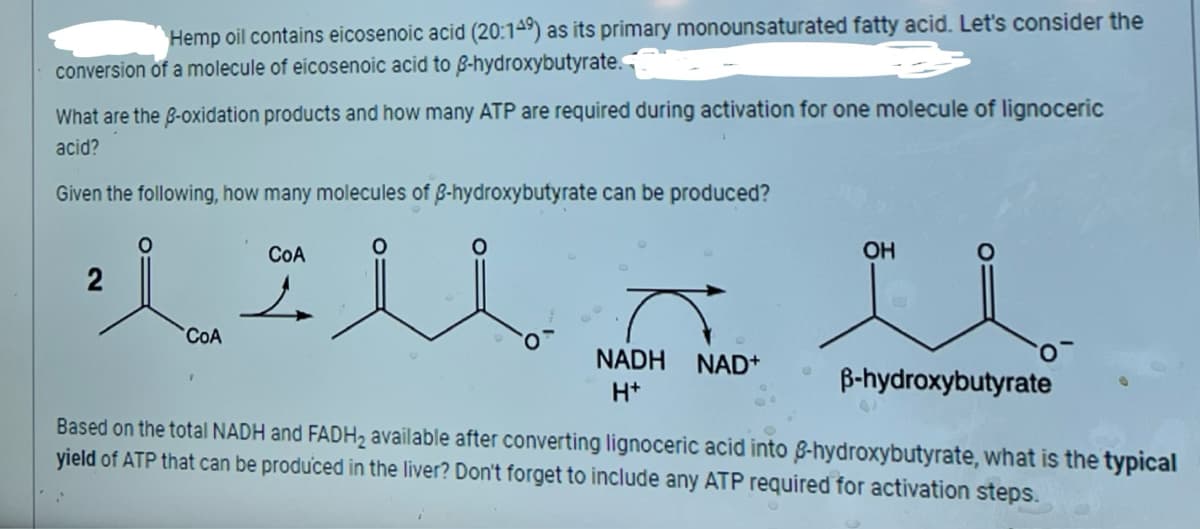 Hemp oil contains eicosenoic acid (20:149) as its primary monounsaturated fatty acid. Let's consider the
conversion of a molecule of eicosenoic acid to ẞ-hydroxybutyrate.
What are the ẞ-oxidation products and how many ATP are required during activation for one molecule of lignoceric
acid?
Given the following, how many molecules of 8-hydroxybutyrate can be produced?
2
CoA
CoA
NADH NAD+
H+
OH
B-hydroxybutyrate
Based on the total NADH and FADH2 available after converting lignoceric acid into 8-hydroxybutyrate, what is the typical
yield of ATP that can be produced in the liver? Don't forget to include any ATP required for activation steps.