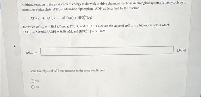 A critical reaction in the production of energy to do work or drive chemical reactions in biological systems is the hydrolysis of
adenosine triphosphate, ATP, to adenosine diphosphate, ADP, as described by the reaction
ATP(aq) + H₂O(1)→→ ADP(aq) + HPO² (aq)
for which AG=-30.5 kJ/mol at 37.0 °C and pH 7.0. Calculate the value of AG in a biological cell in which
(ATP) = 5.0 mM. [ADP] = 0.90 mM, and [HPO )= 5.0 mm.
AGran
Is the hydrolysis of ATP spontaneous under these conditions?
O yes
O no
kJ/mol