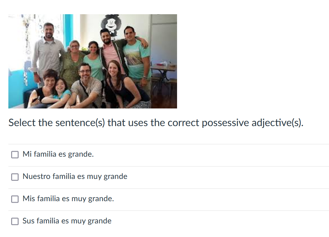 Select the sentence(s) that uses the correct possessive adjective(s).
Mi familia es grande.
Nuestro familia es muy grande
Mis familia es muy grande.
Sus familia es muy grande
