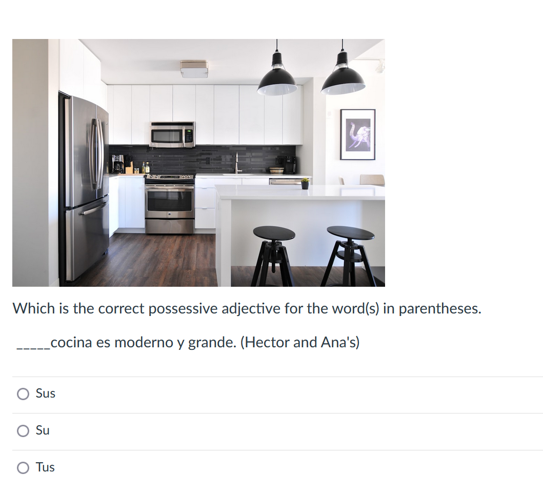 Which is the correct possessive adjective for the word(s) in parentheses.
_cocina es moderno y grande. (Hector and Ana's)
Sus
Su
Tus