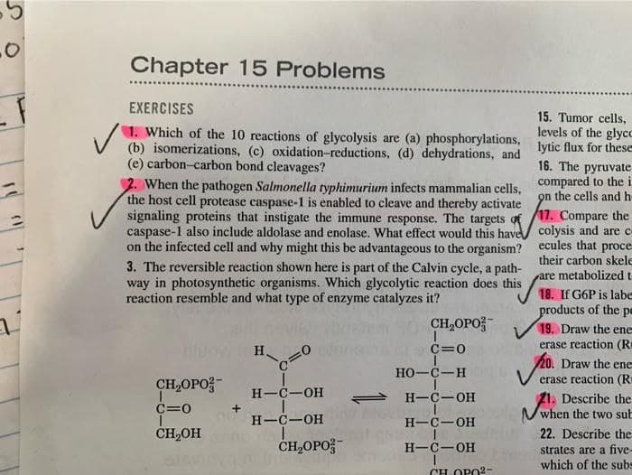 Chapter 15 Problems
EXERCISES
1. Which of the 10 reactions of glycolysis are (a) phosphorylations,
(b) isomerizations, (c) oxidation-reductions, (d) dehydrations, and
(e) carbon-carbon bond cleavages?
15. Tumor cells,
levels of the glycc
lytic flux for these
16. The pyruvate
2. When the pathogen Salmonella typhimurium infects mammalian cells, compared to the 1
the host cell protease caspase-1 is enabled to cleave and thereby activate
signaling proteins that instigate the immune response. The targets of /17. Compare the
caspase-1 also include aldolase and enolase. What effect would this have/ colysis and are c
on the infected cell and why might this be advantageous to the organism? ecules that proce
3. The reversible reaction shown here is part of the Calvin cycle, a path-
way in photosynthetic organisms. Which glycolytic reaction does this
reaction resemble and what type of enzyme catalyzes it?
on the cells and h
their carbon skele
are metabolized t
18. If G6P is labe
products of the pe
19. Draw the ene
erase reaction (R
CH,OPO
Monja
H.
CH,OPO;-
C=0
Draw the ene
erase reaction (R
HO-C-H
H-C-OH
1 H-C-OH
21. Describe the
when the two sub
C=0
+
H-C-OH
H-C-OH
CH2OH
22. Describe the
CH,OPO;-
H-C-OH
strates are a five-
which of the subs
CH OPO2-
