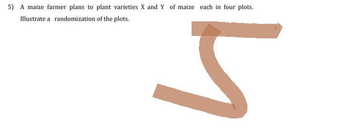 5) A maize farmer plans to plant varieties X and Y of maize each in four plots.
Illustrate a randomization of the plots.
S