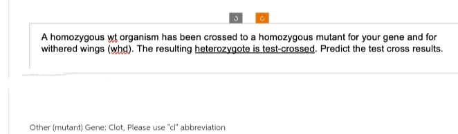 3
Other (mutant) Gene: Clot, Please use "cl" abbreviation
C
A homozygous wt organism has been crossed to a homozygous mutant for your gene and for
withered wings (whd). The resulting heterozygote is test-crossed. Predict the test cross results.