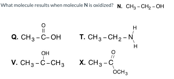 What molecule results when molecule N is oxidized? N. CH3 - CH2 - OH
H
Q. CН3 - С-ОН
T. CH3 - CH2 - N
H
OH
//
V. CH3-С-CH3
X. CH3 -C
OCH 3
