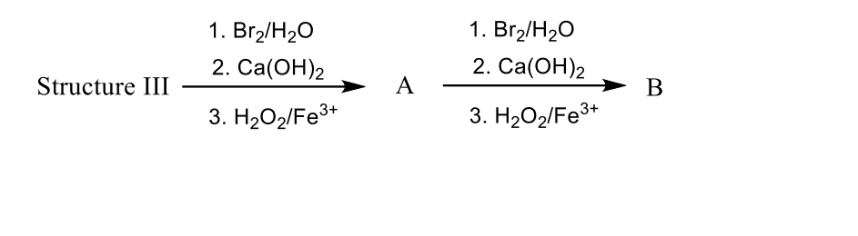 1. Br2/H2O
1. Br,/H20
2. Ca(ОН)2
2. Ca(ОН)2
Structure III
А
В
3. H2O2/Fe3*
3. H2O2/Fe3*
