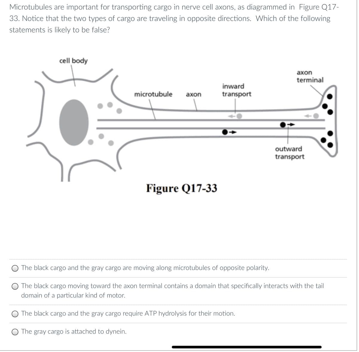 Microtubules are important for transporting cargo in nerve cell axons, as diagrammed in Figure Q17-
33. Notice that the two types of cargo are traveling in opposite directions. Which of the following
statements is likely to be false?
cell body
microtubule
axon
Figure Q17-33
inward
transport
axon
terminal
The black cargo and the gray cargo require ATP hydrolysis for their motion.
The gray cargo is attached to dynein.
outward
transport
The black cargo and the gray cargo are moving along microtubules of opposite polarity.
The black cargo moving toward the axon terminal contains a domain that specifically interacts with the tail
domain of a particular kind of motor.