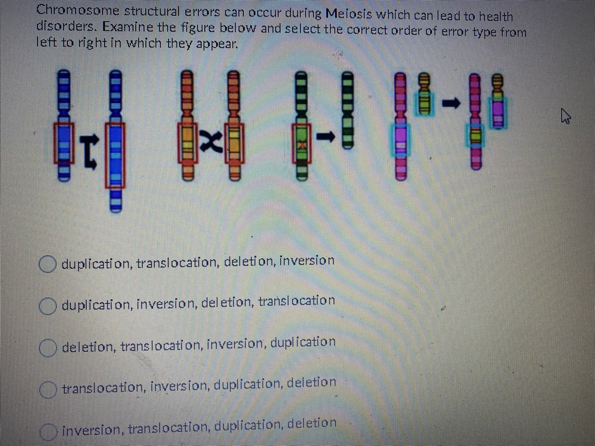 Chromosome structural errors can occur during Meiosis which can lead to health
disorders. Examine the figure below and select the correct order of error type from
left to right in which they appear.
duplicati on, translocation, deleti on, inversion
duplication, inversion, del etion, translocation
O deletion, translocati on, inversion, duplication
O translocation, inversion, duplication, deletion
inversion, translocation, duplication, deletion

