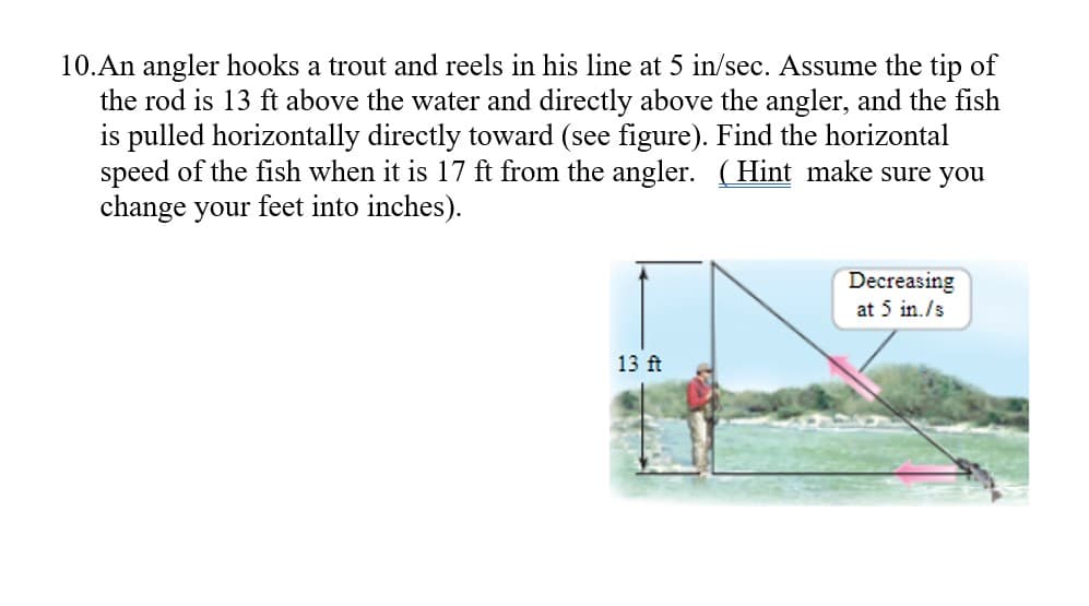 10.An angler hooks a trout and reels in his line at 5 in/sec. Assume the tip of
the rod is 13 ft above the water and directly above the angler, and the fish
is pulled horizontally directly toward (see figure). Find the horizontal
speed of the fish when it is 17 ft from the angler. (Hint make sure you
change your feet into inches).
Decreasing
at 5 in./s
13 ft
