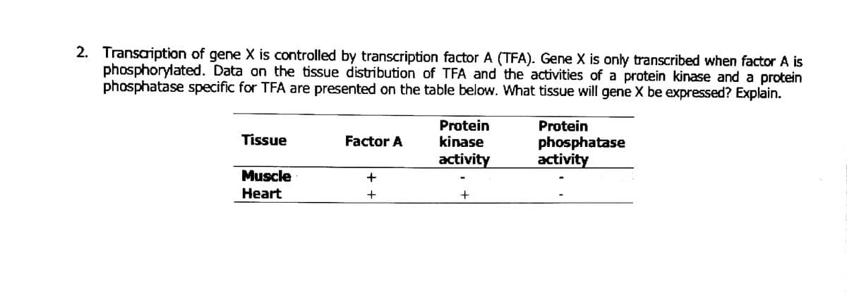 2. Transaription of gene X is controlled by transcription factor A (TFA). Gene X is only transcribed when factor A is
phosphorylated. Data on the tissue distribution of TFA and the activities of a protein kinase and a protein
phosphatase specific for TFA are presented on the table below. What tissue will gene X be expressed? Explain.
Protein
kinase
Protein
Tissue
Factor A
phosphatase
activity
activity
Muscle
Heart
