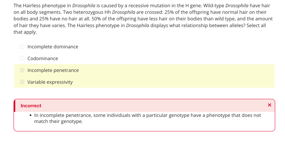The Hairless phenotype in Drosophila is caused by a recessive mutation in the H gene. Wild-type Drosophila have hair
on all body segments. Two heterozygous Hh Drosophila are crossed: 25% of the offspring have normal hair on their
bodies and 25% have no hair at all. 50% of the offspring have less hair on their bodies than wild type, and the amount
of hair they have varies. The Hairless phenotype in Drosophila displays what relationship between alleles? Select all
that apply.
300
Incomplete dominance
Codominance
Incomplete penetrance
Variable expressivity
Incorrect
• In incomplete penetrance, some individuals with a particular genotype have a phenotype that does not
match their genotype.