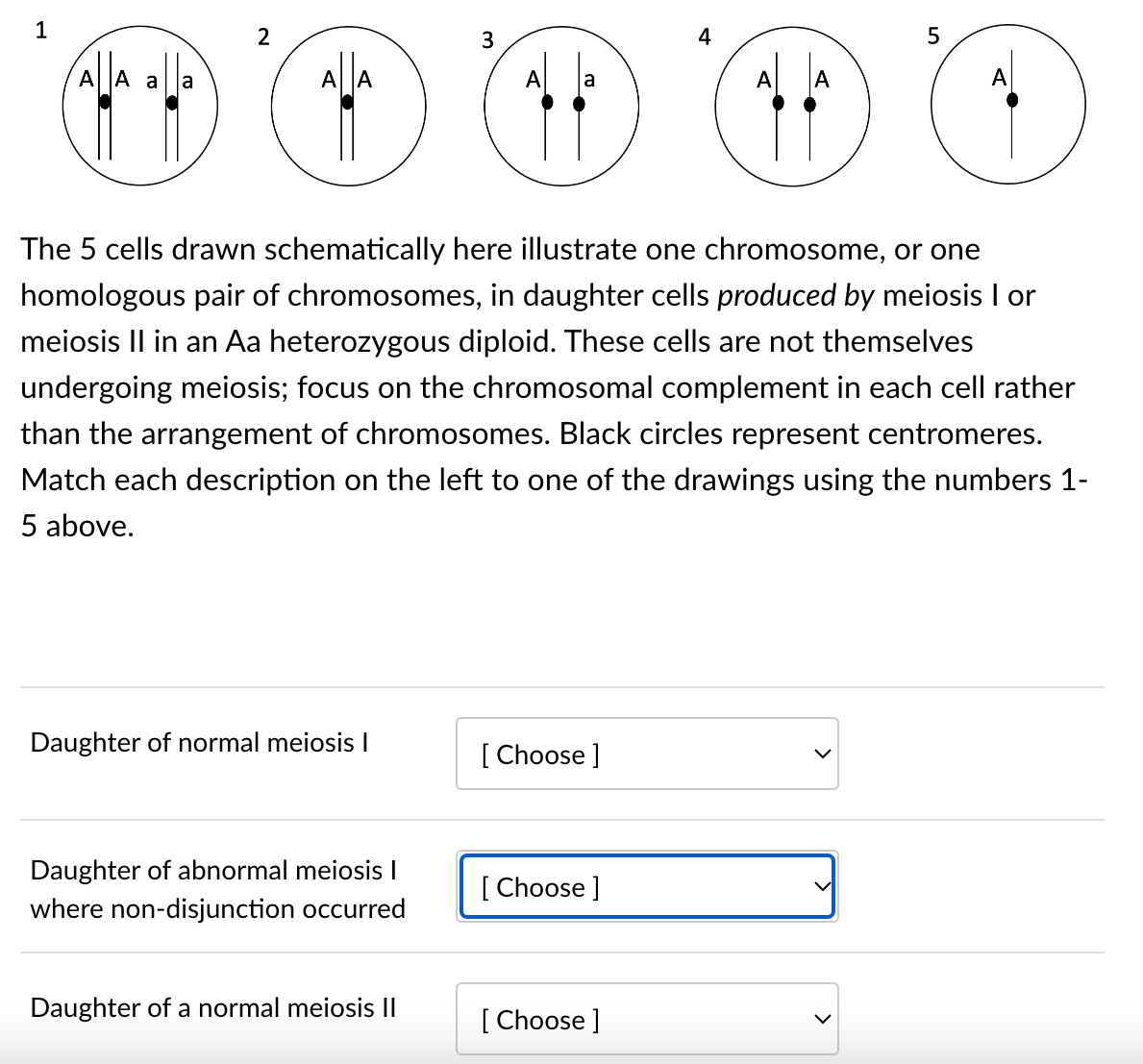 1
A
a
2
AllA
Daughter of normal meiosis I
Daughter of abnormal meiosis I
where non-disjunction occurred
3
Daughter of a normal meiosis II
The 5 cells drawn schematically here illustrate one chromosome, or one
homologous pair of chromosomes, in daughter cells produced by meiosis I or
meiosis II in an Aa heterozygous diploid. These cells are not themselves
undergoing meiosis; focus on the chromosomal complement in each cell rather
than the arrangement of chromosomes. Black circles represent centromeres.
Match each description on the left to one of the drawings using the numbers 1-
5 above.
[Choose ]
[Choose ]
A
[Choose ]
A
5