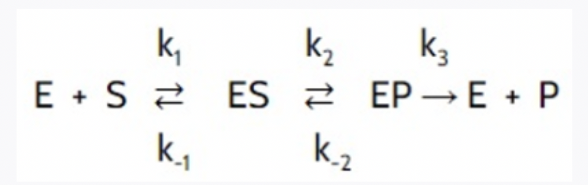 k₁
K₂ K3
k3
EP→E + P
E+S ESZ
ES
k₁
K-2