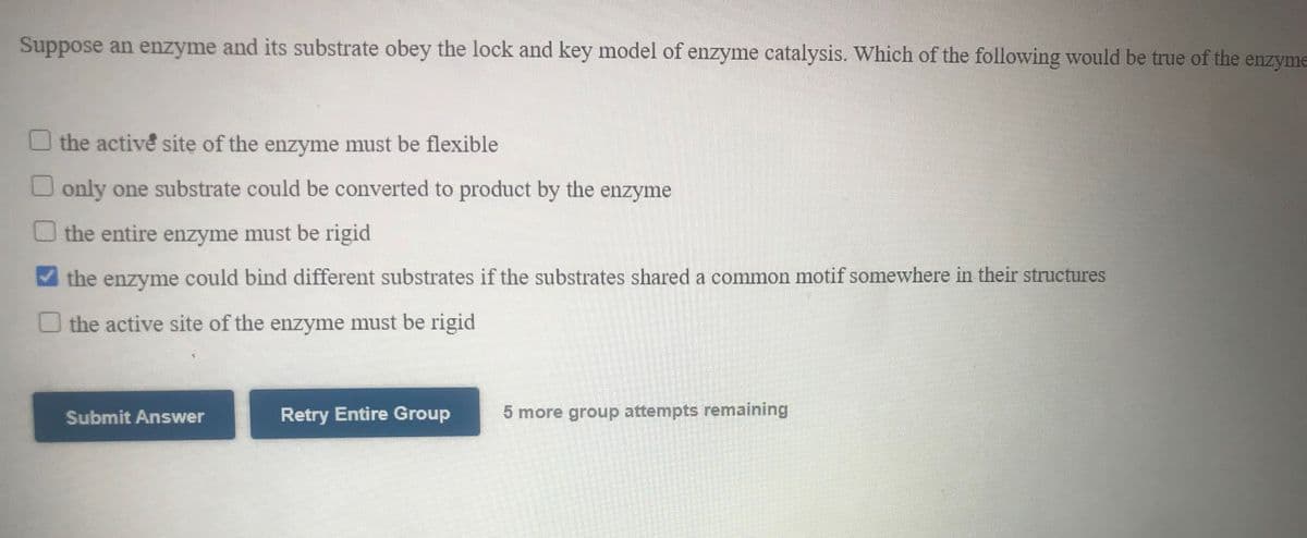 Suppose an enzyme and its substrate obey the lock and key model of enzyme catalysis. Which of the following would be true of the enzyme
U the active site of the enzyme must be flexible
O only one substrate could be converted to product by the enzyme
the entire enzyme must be rigid
the enzyme could bind different substrates if the substrates shared a common motif somewhere in their structures
O the active site of the enzyme must be rigid
Submit Answer
Retry Entire Group
5 more group attempts remaining
