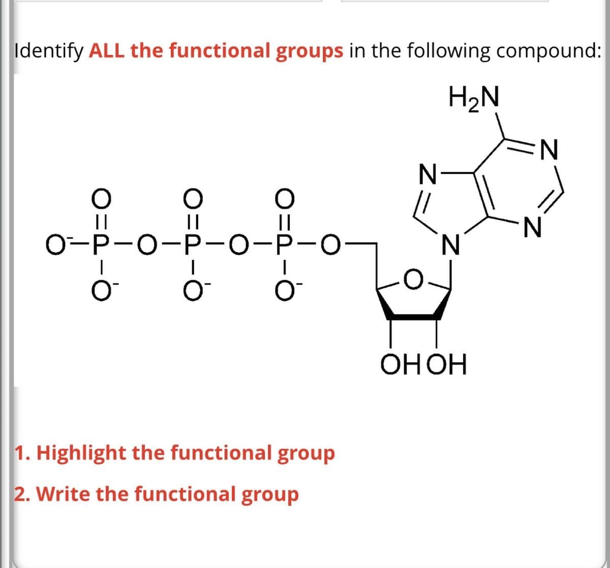 Identify ALL the functional groups in the following compound:
H₂N
O
O-P-O-P-O-P-O-
O™ O™
O
||
I
O
O
||
1. Highlight the functional group
2. Write the functional group
Z=
N
N
OH OH
N
N