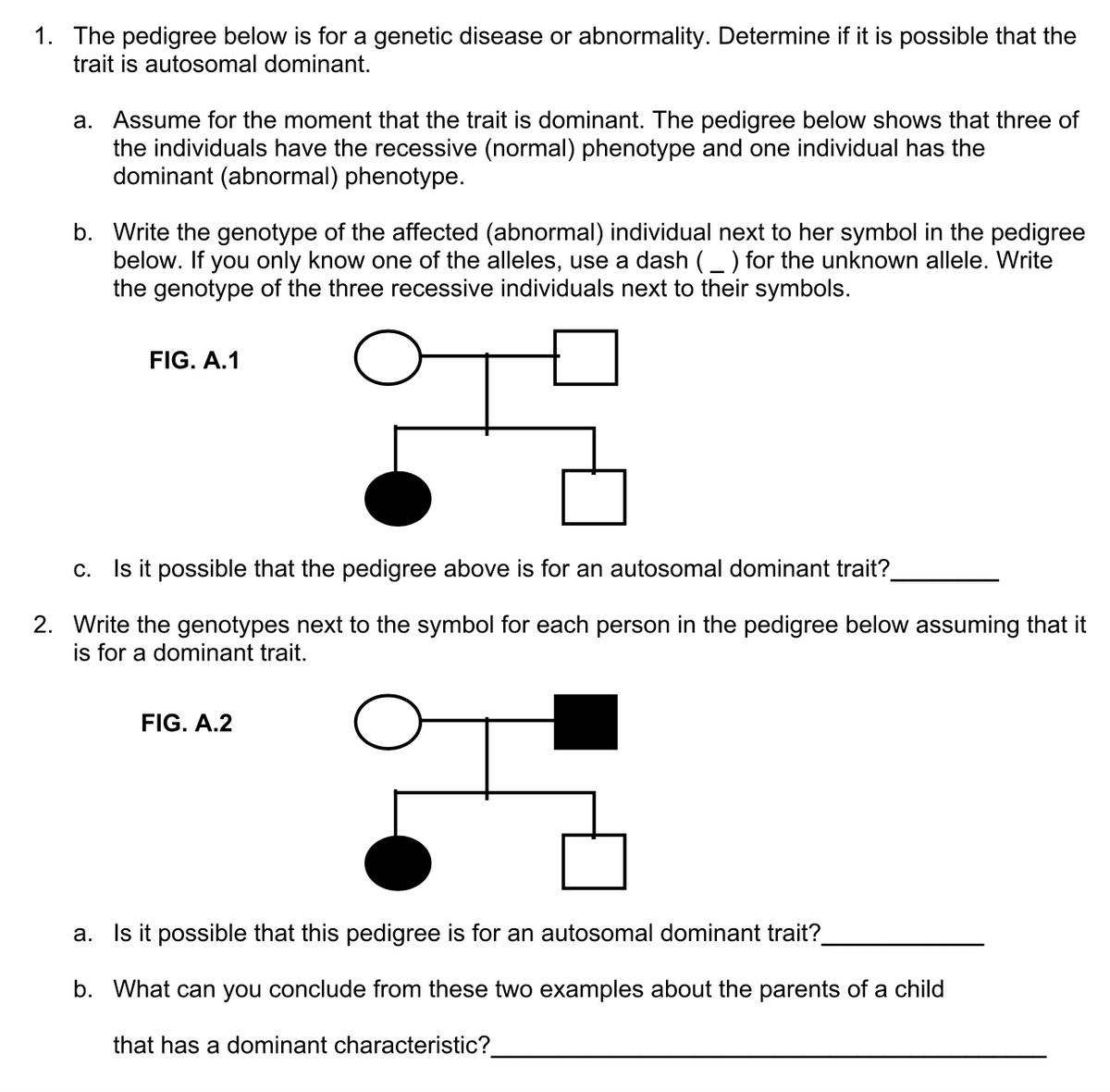1. The pedigree below is for a genetic disease or abnormality. Determine if it is possible that the
trait is autosomal dominant.
a. Assume for the moment that the trait is dominant. The pedigree below shows that three of
the individuals have the recessive (normal) phenotype and one individual has the
dominant (abnormal) phenotype.
b. Write the genotype of the affected (abnormal) individual next to her symbol in the pedigree
below. If you only know one of the alleles, use a dash (_ ) for the unknown allele. Write
the genotype of the three recessive individuals next to their symbols.
FIG. A.1
C.
Is it possible that the pedigree above is for an autosomal dominant trait?
2. Write the genotypes next to the symbol for each person in the pedigree below assuming that it
is for a dominant trait.
FIG. A.2
a. Is it possible that this pedigree is for an autosomal dominant trait?
b. What can you conclude from these two examples about the parents of a child
that has a dominant characteristic?
